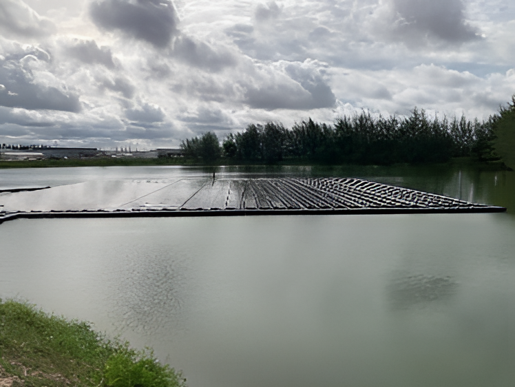 Floating solar solution(CG Floating Solar)